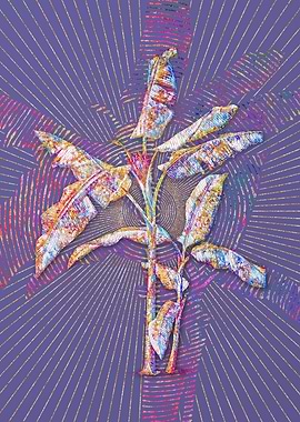 Scarlet Banana Mosaic