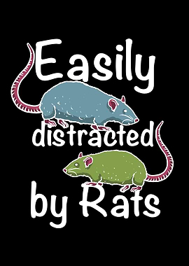 Easily distracted by rats