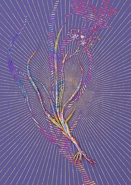 Phalangium Bicolor Mosaic