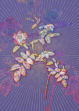 Pink Alpine Rose Mosaic