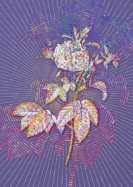 Pink Agatha Rose Mosaic 2