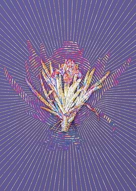 Pygmy Iris Mosaic Flower