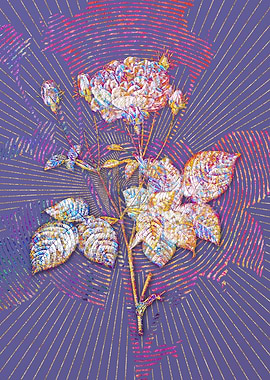 Pink French Roses Mosaic