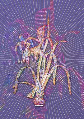 Sprekelia Mosaic Botanical