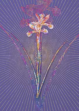 Spanish Iris Mosaic Flower
