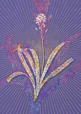 Spanish Bluebell Mosaic