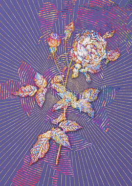 Provence Rose Mosaic 2