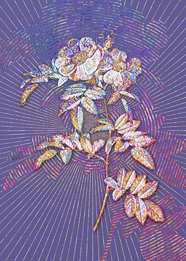 Rosa Lucida Mosaic Floral