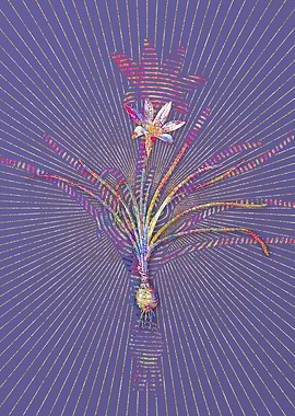 Rain Lily Mosaic Botanical