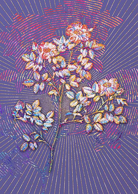 Rose Corymb Mosaic Floral