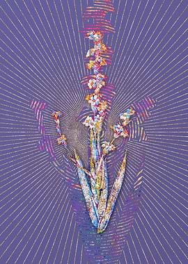 Pale Yellow Eyed Grass