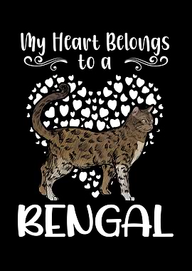 Bengal Cat