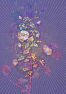 Pink Scotch Briar Rose