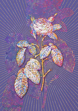 Red Gallic Rose Mosaic