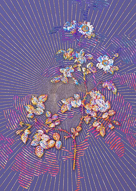 White Sweetbriar Rose