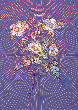 White Candolles Rose