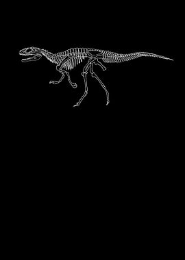 Dinosaurier Fossil Skelett