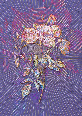 Ternaux Rose Bloom Mosaic