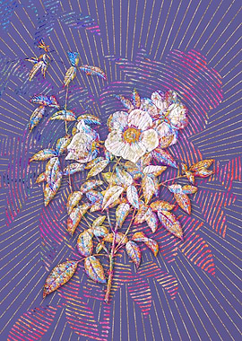 White Rose of Snow Mosaic