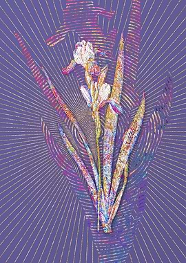 Tall Bearded Iris 2 Mosaic