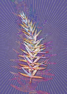 Whorled Solomons Seal