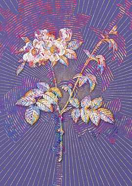 White Flowered Rose Mosaic