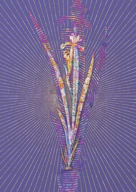 Yellow Banded Iris Mosaic