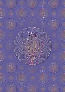 Amaryllis Montana Pattern