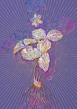 Trillium Rhomboideum