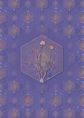 Allium Carolinianum Flower