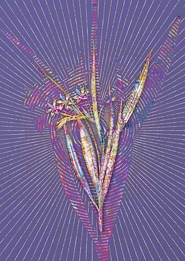 White Baboon Root Mosaic