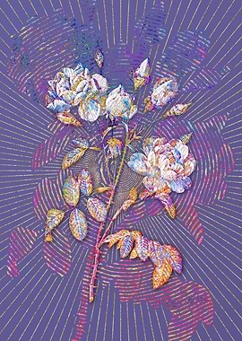 White Rose Mosaic Flower