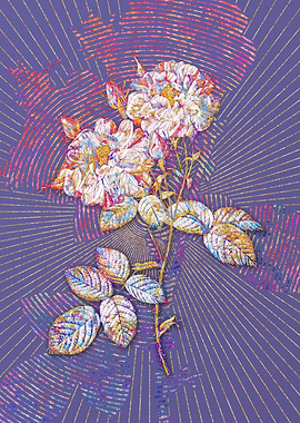 White Damask Rose Mosaic