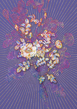 Yellow Sweetbriar Rose