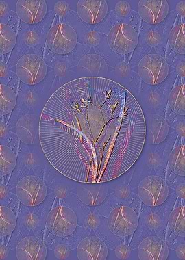 Anigozanthos Flavida