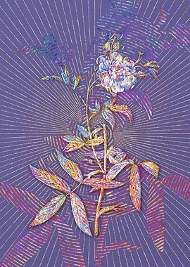 White Rose of York Mosaic