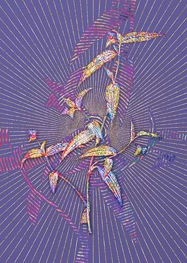 Tagblume Mosaic Botanical