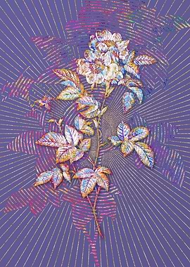 White Anjou Roses Mosaic