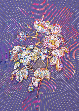 Tomentose Rose Mosaic