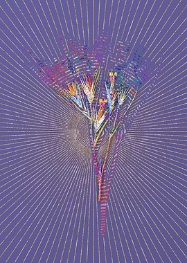 Witsenia Maura Mosaic