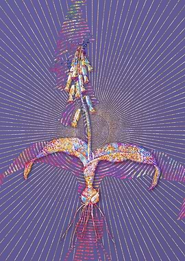 Watsonia Mosaic Botanical