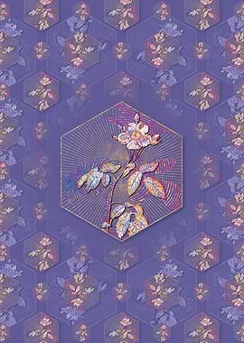 Big Leaved Climbing Rose