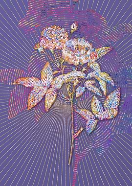 Van Eeden Rose Mosaic