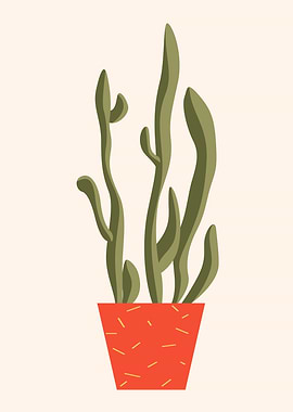 Succulent Cactus Plant