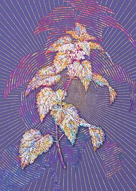 White Dead Nettle Plant