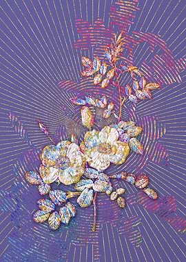 Yellow Sweetbriar Roses