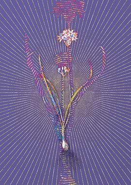 ThreeCornered Leek Mosaic