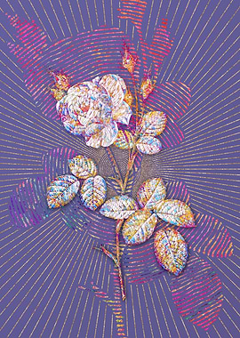 White Misty Rose Mosaic