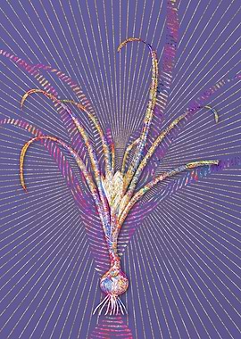 Yellow Autumn Crocus