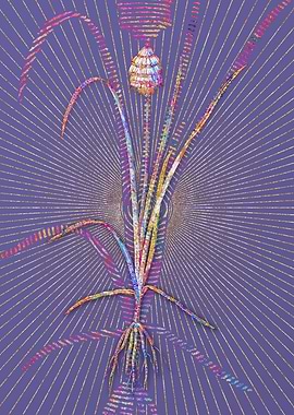 Veltheimia Abyssinica